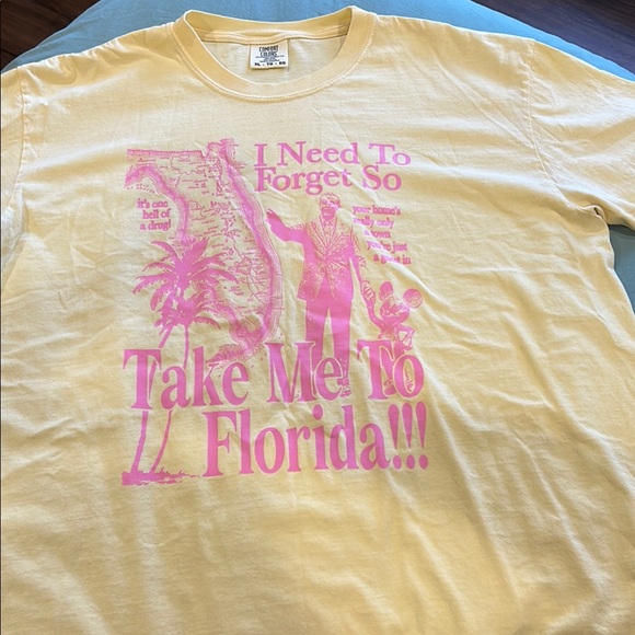 Taylor Swift Inspired Disney Tshirt - Picture 1 of 4